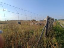 Działka budowlana Sokole. Zdjęcie 2