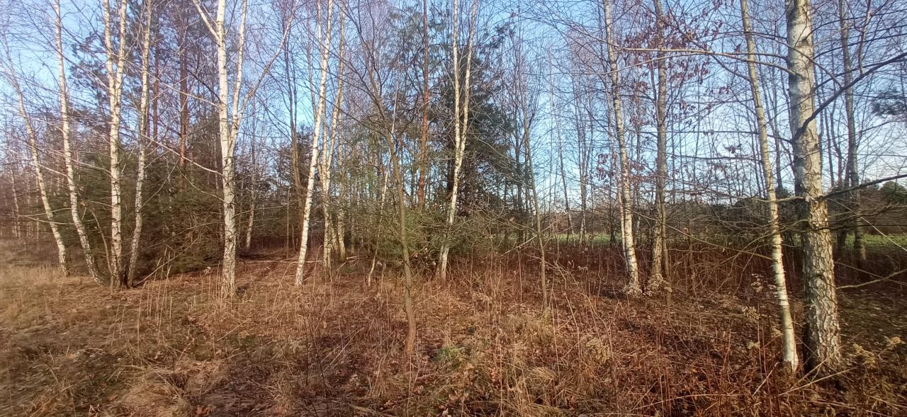 siedlisko, 1 pokój Ławeczko Stare. Zdjęcie 36