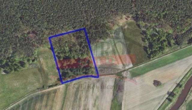 Działka rolna Krasiejów. Zdjęcie 1