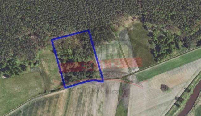 Działka rolna Krasiejów