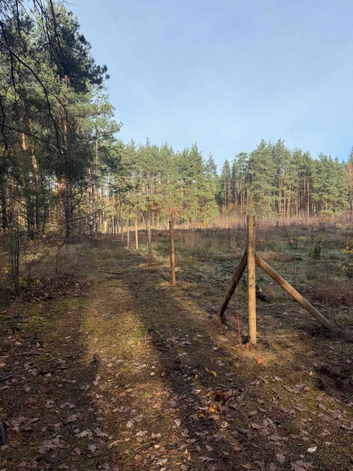Działka budowlana Prace Duże. Zdjęcie 3