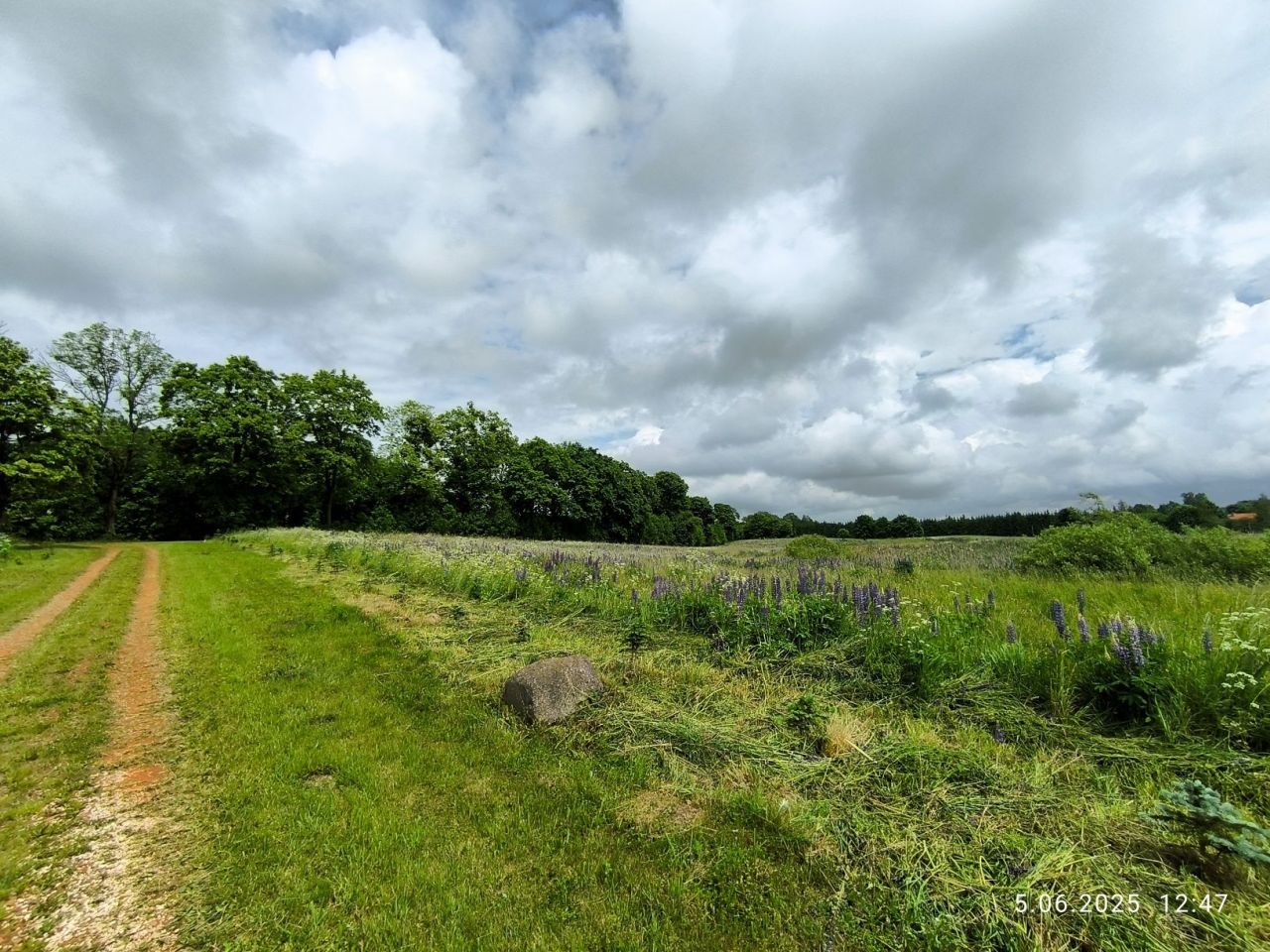Działka rolna Frączki. Zdjęcie 6