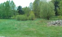 Działka rolno-budowlana Stefanówka. Zdjęcie 3