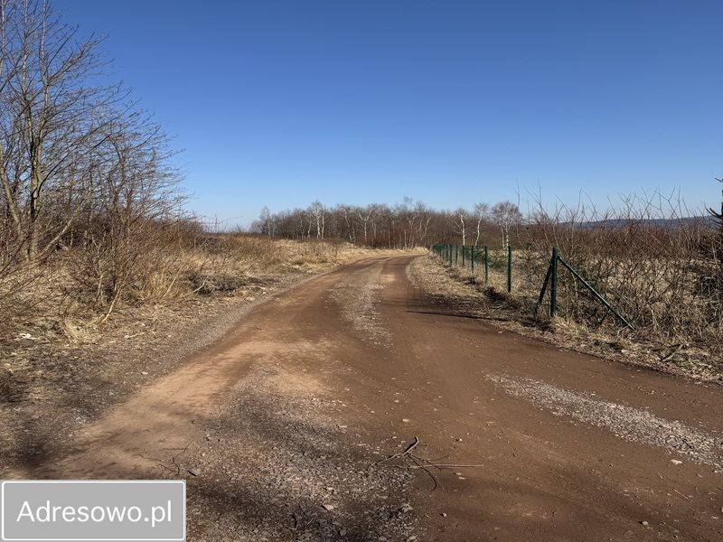 Działka budowlana Grzmiąca. Zdjęcie 6