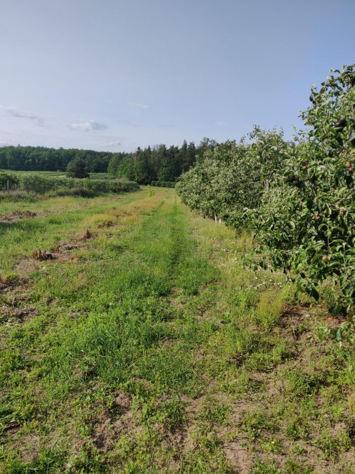 Działka rolna Wola Worowska