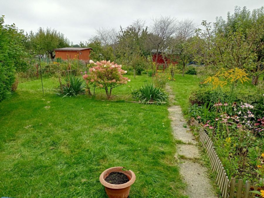 Działka rod Gdańsk Rębiechowo. Zdjęcie 8