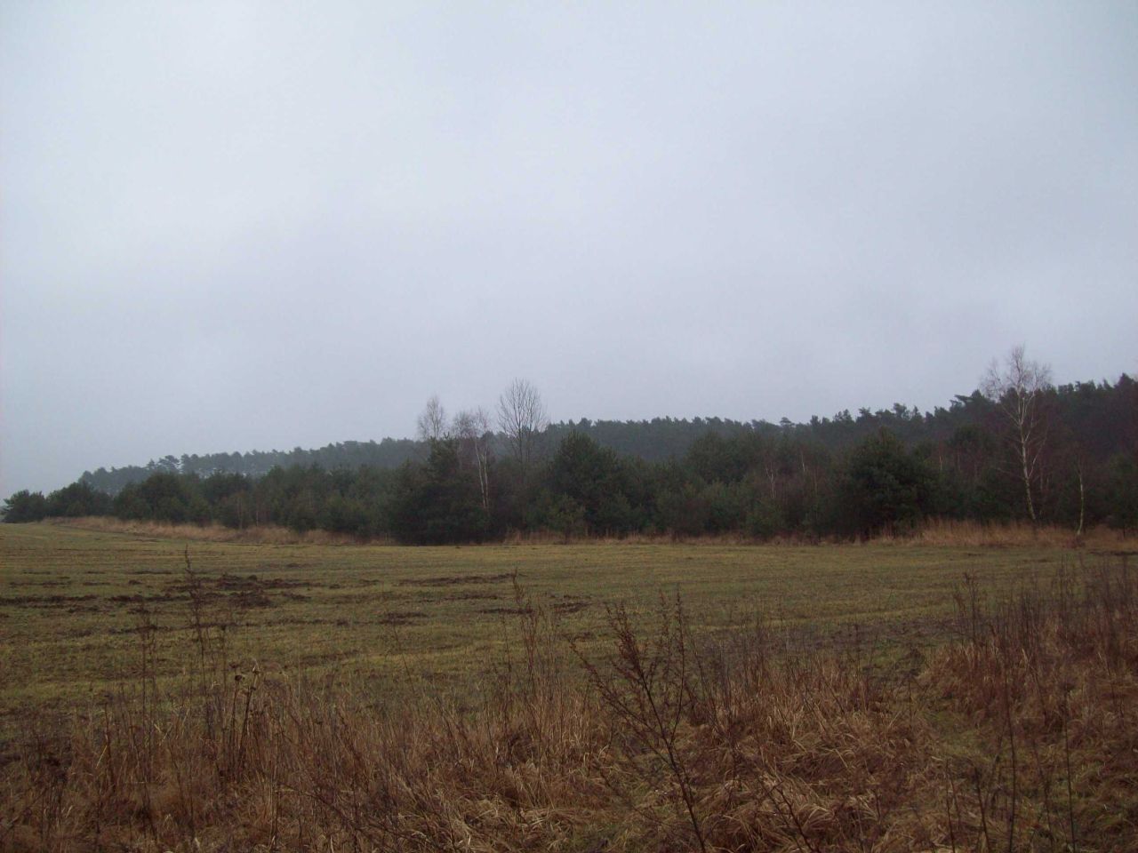 Działka budowlana Mostki. Zdjęcie 4
