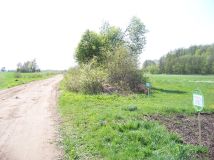 Działka rekreacyjna Starczewice. Zdjęcie 4