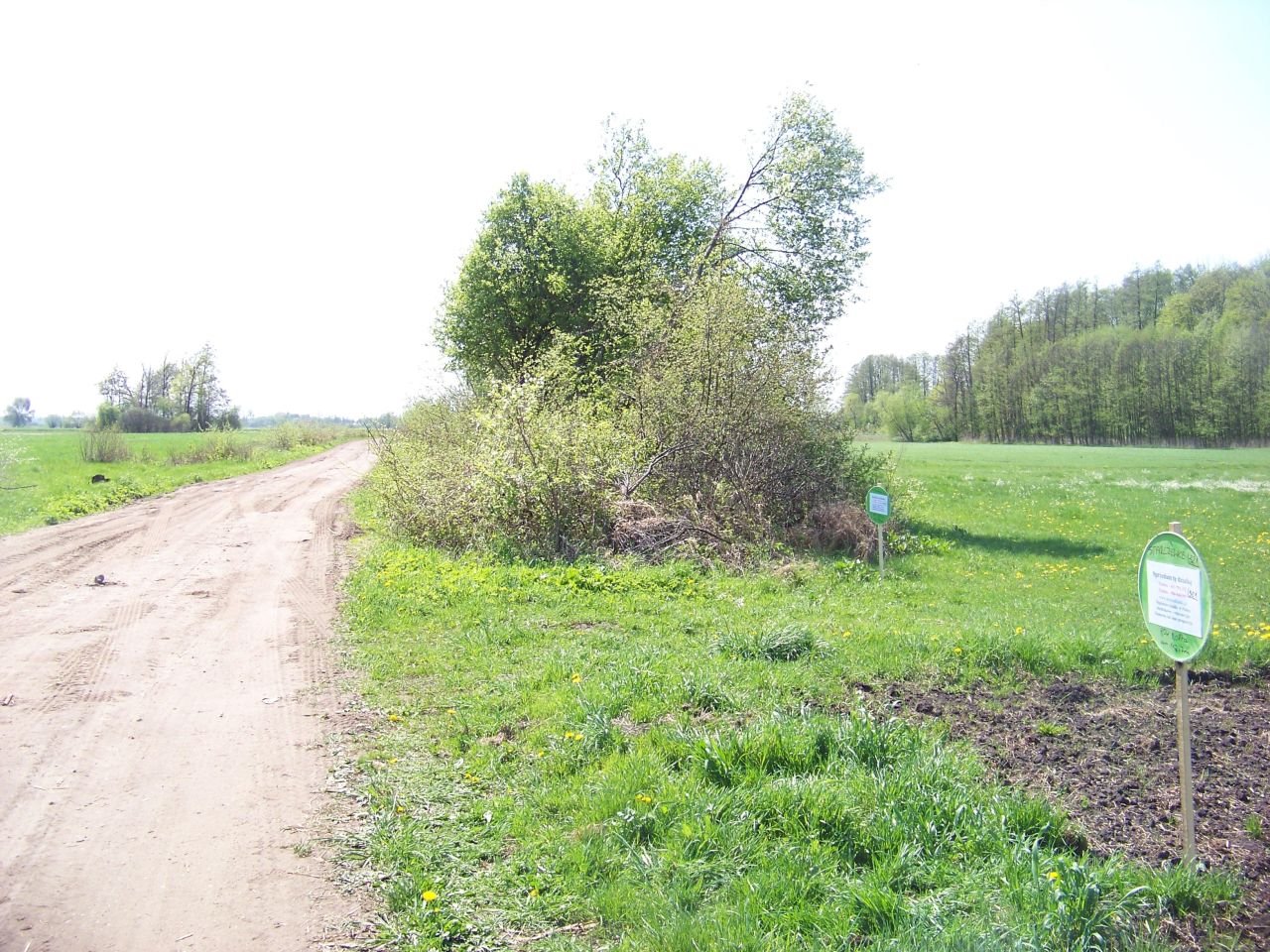 Działka rekreacyjna Starczewice. Zdjęcie 5