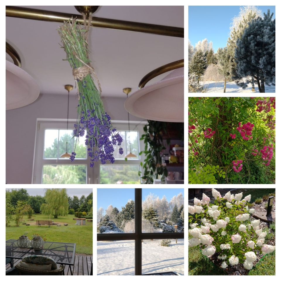 dom wolnostojący Sobącz. Zdjęcie 10