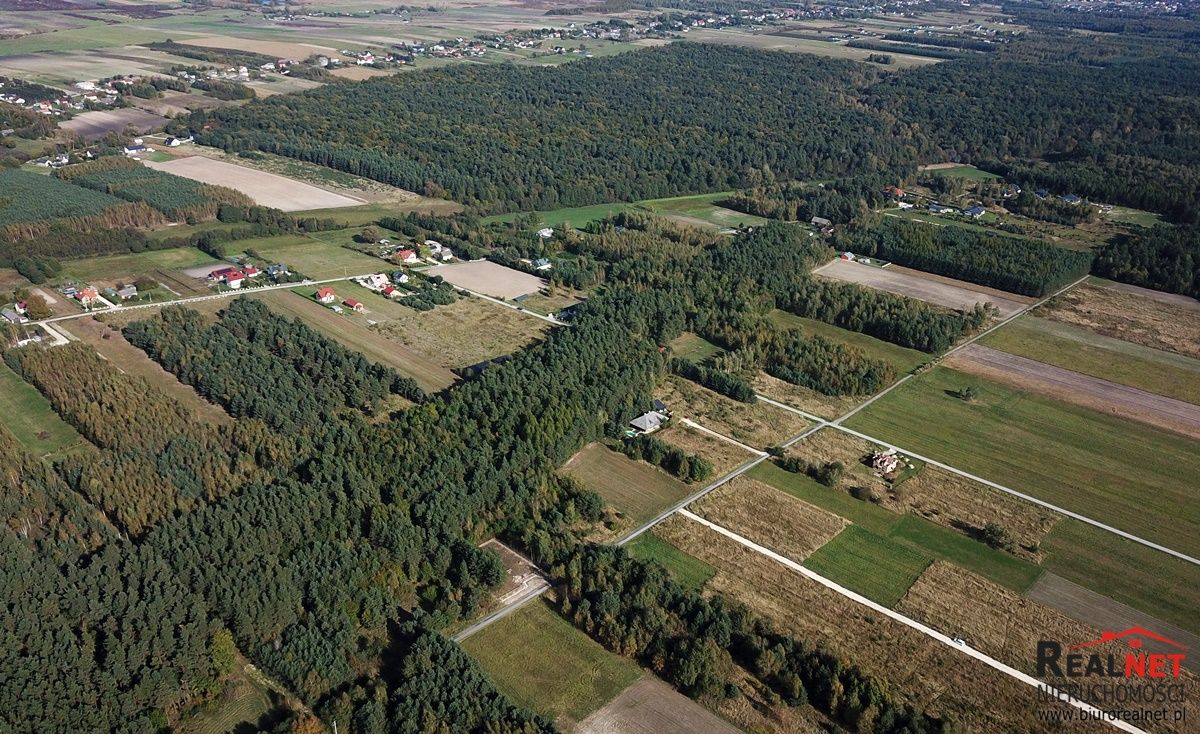 Działka rolno-budowlana Las Winiarski. Zdjęcie 13