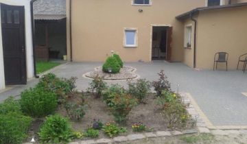 bliźniak Mazów