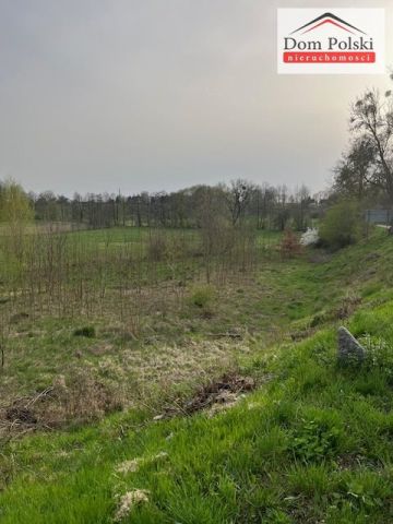 Działka rolna Rańsk. Zdjęcie 1