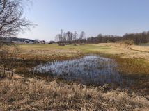 Działka rolna Józefina. Zdjęcie 2