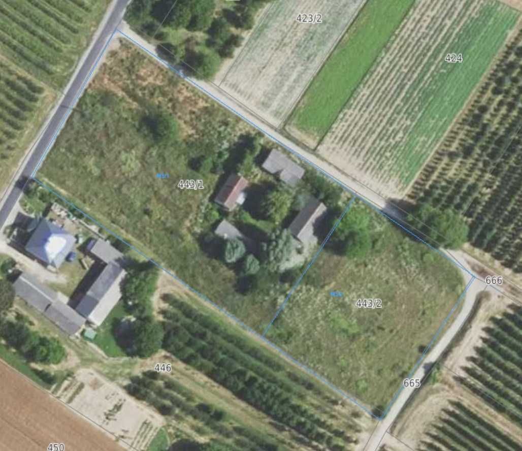 Działka siedliskowa Międzygórz. Zdjęcie 5