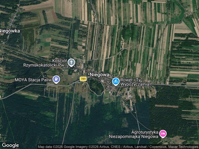 Działka leśna Niegowa. Zdjęcie 1