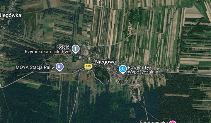 Działka leśna Niegowa