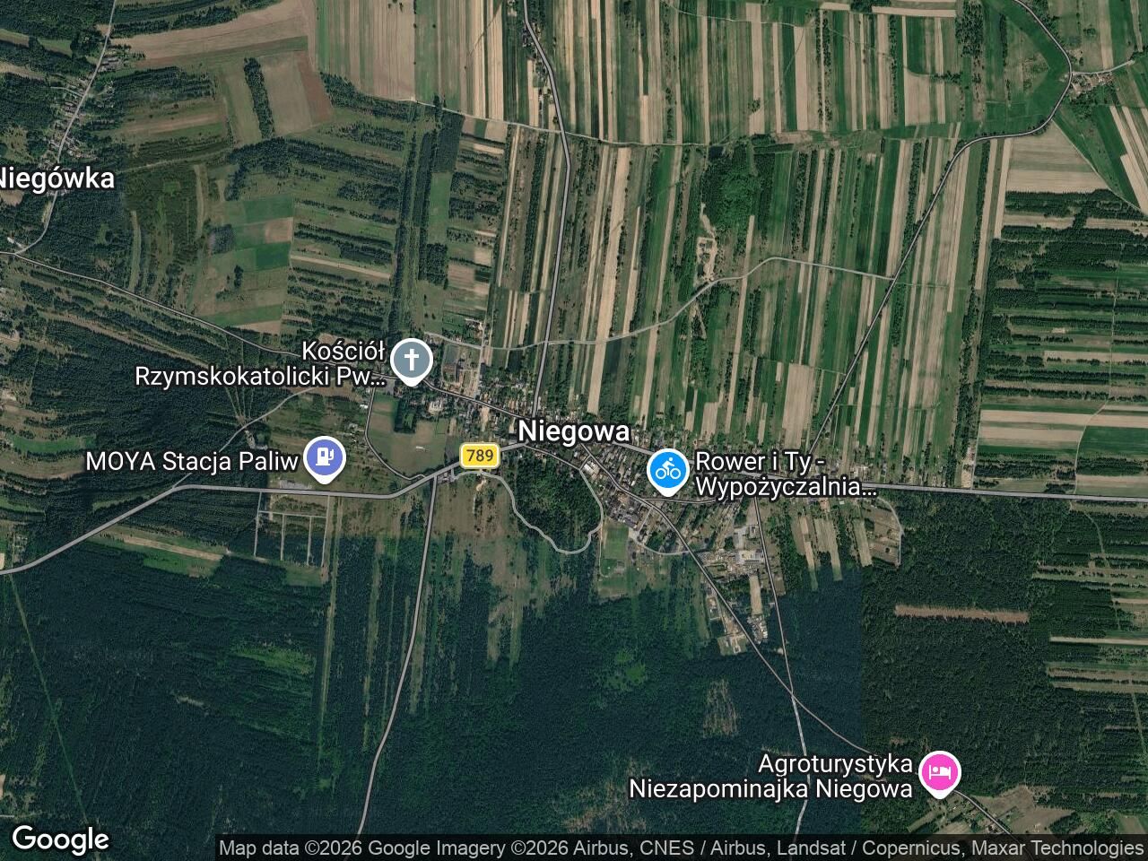 Działka leśna Niegowa. Zdjęcie 1
