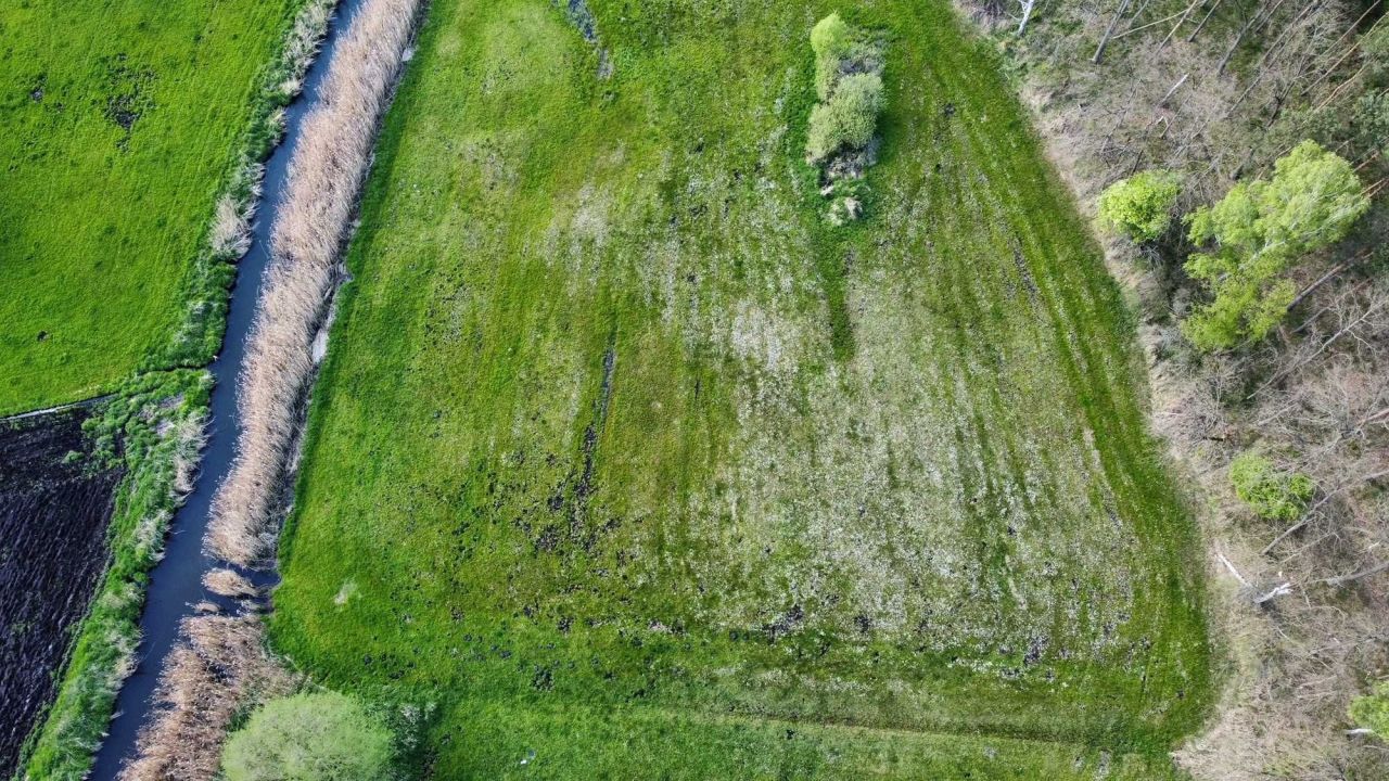 Działka rolna Rąbczyn Nowa Wieś. Zdjęcie 7