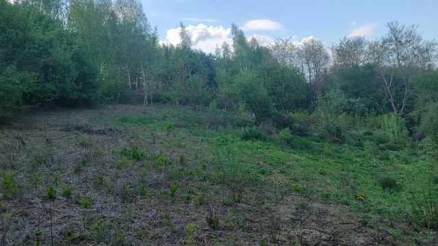 Działka rolno-budowlana Sandomierz, ul. Zamiejska. Zdjęcie 1