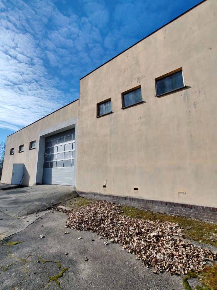 Hala/magazyn Rogoźno, ul. Rolna. Zdjęcie 5