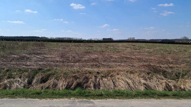 Działka budowlana Sieradza. Zdjęcie 1