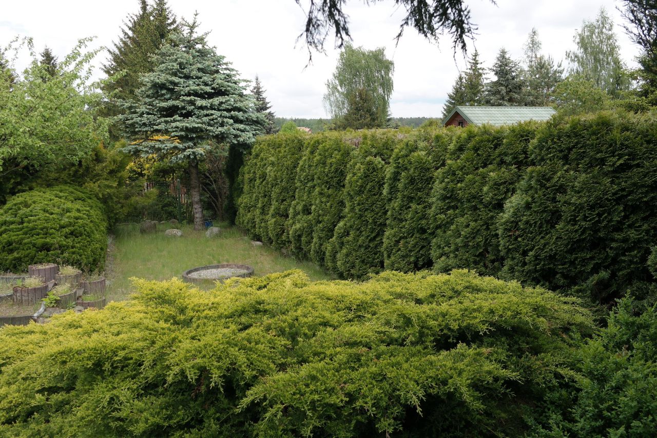 Działka rod Niewodnica Kościelna, ul. Działkowców. Zdjęcie 29