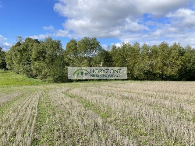 Działka budowlana Łapino Kartuskie. Zdjęcie 4