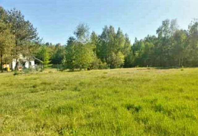 Działka budowlana Złotniki. Zdjęcie 1