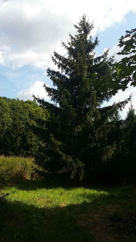 inny, 5 pokoi Sady Górne, Sady Górne. Zdjęcie 11