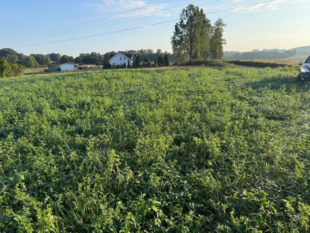 Działka budowlana Ramleje. Zdjęcie 1