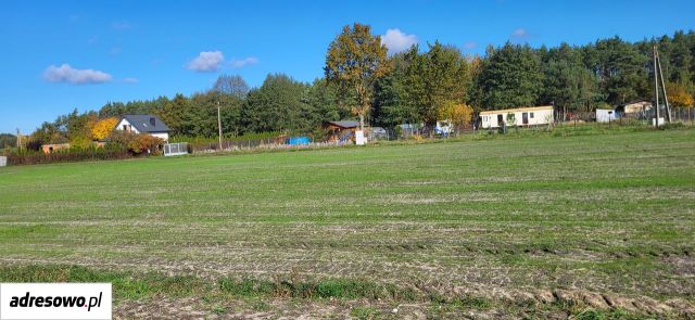 Działka rolno-budowlana Wilków. Zdjęcie 14