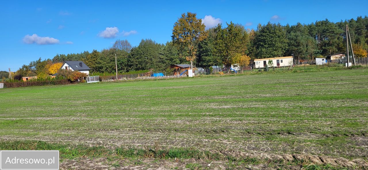 Działka rolno-budowlana Wilków. Zdjęcie 6