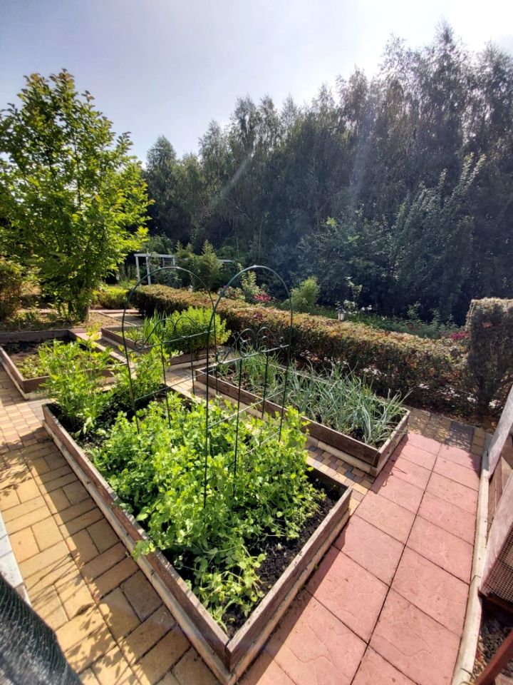 bliźniak, 8 pokoi Jasień. Zdjęcie 6