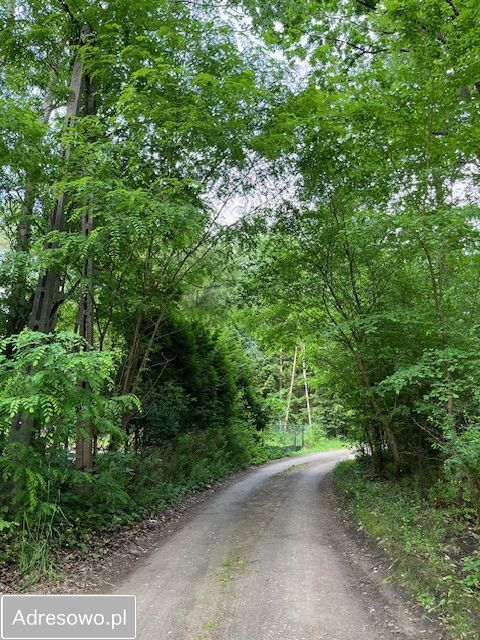 Działka rekreacyjna Popowo-Parcele, ul. Brzozowa. Zdjęcie 3
