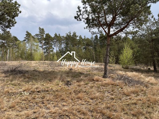 Działka inwestycyjna Czyczkowy. Zdjęcie 9
