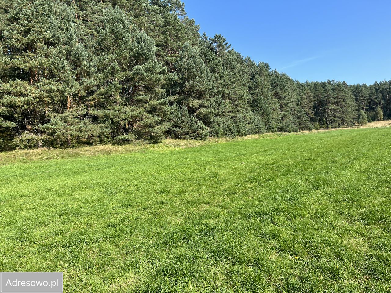 Działka rolna Orle, ul. Łąkowa. Zdjęcie 6