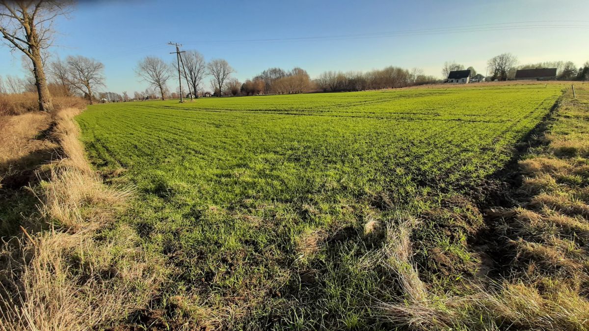 Działka budowlana Piaskowiec. Zdjęcie 5