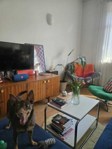 Mieszkanie 4-pokojowe Poznań Jeżyce, ul. Stanisława Staszica. Zdjęcie 2