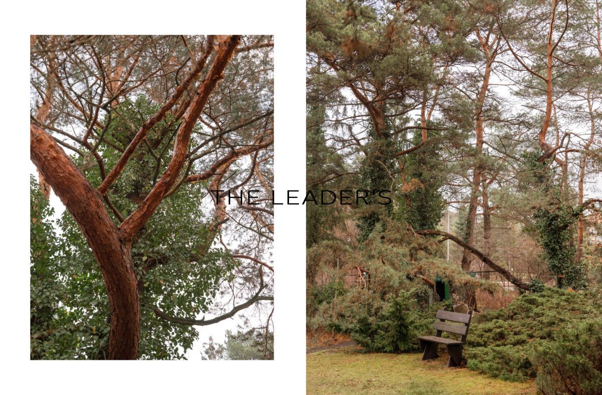 Działka inwestycyjna Konstancin-Jeziorna. Zdjęcie 13