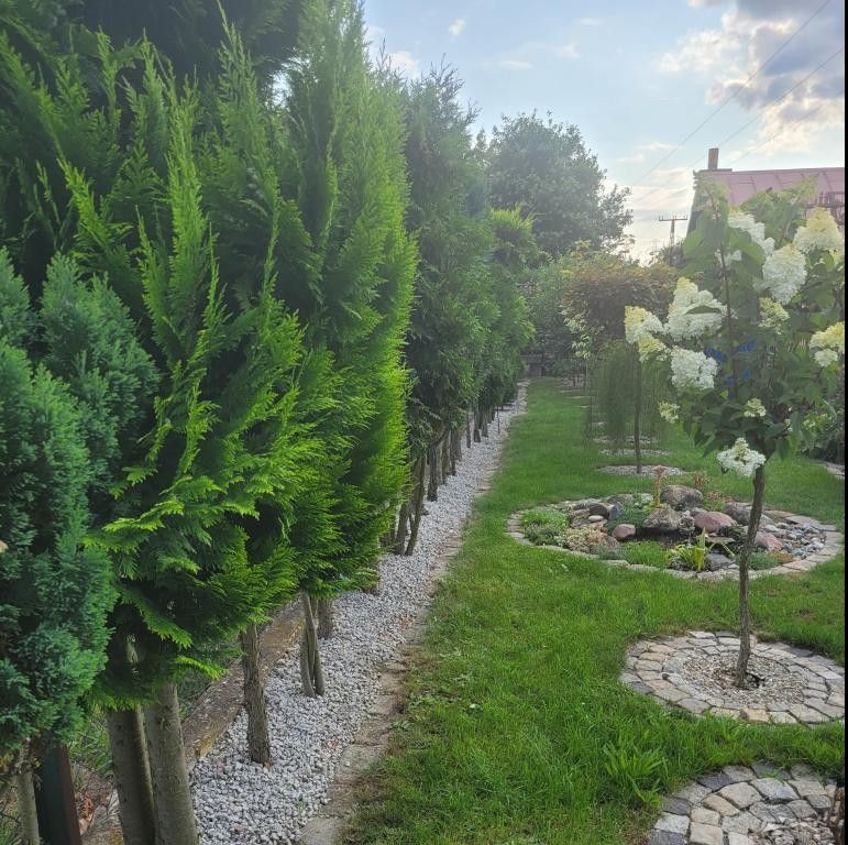 Działka rekreacyjna Wrocław Fabryczna, ul. Wojanowska. Zdjęcie 11