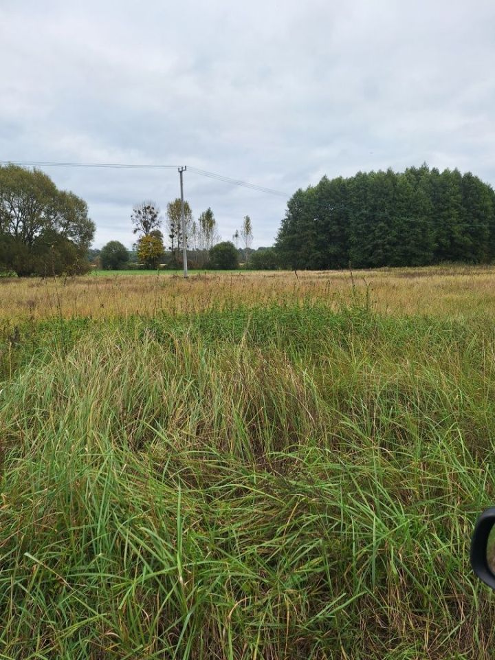 Działka budowlana Bruki Kokocka. Zdjęcie 2