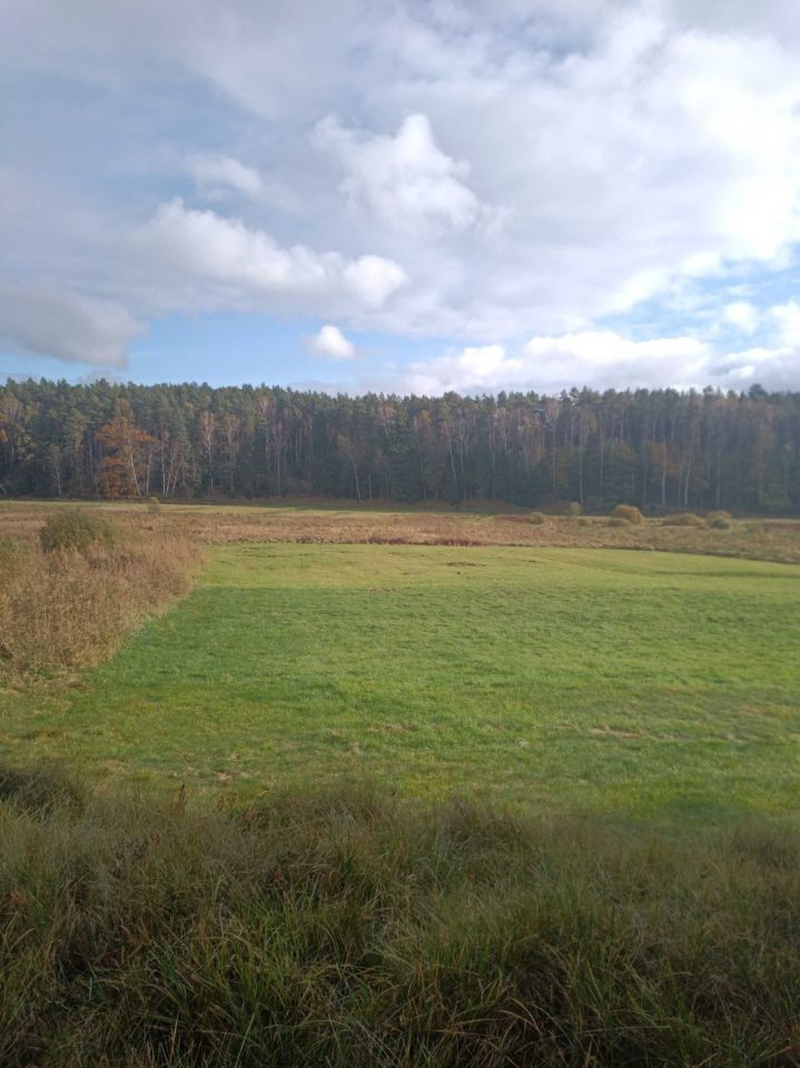 Działka rolna Osie. Zdjęcie 5