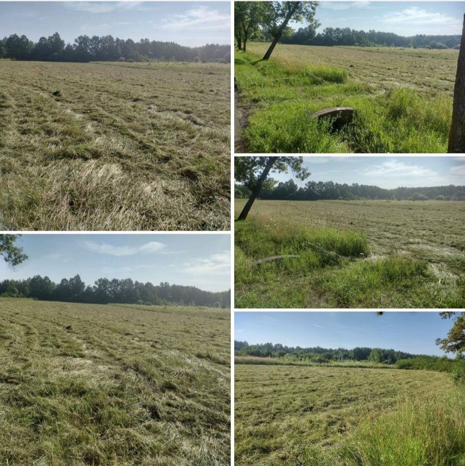 Działka rolna Dąbrowa Górnicza Łęka. Zdjęcie 7