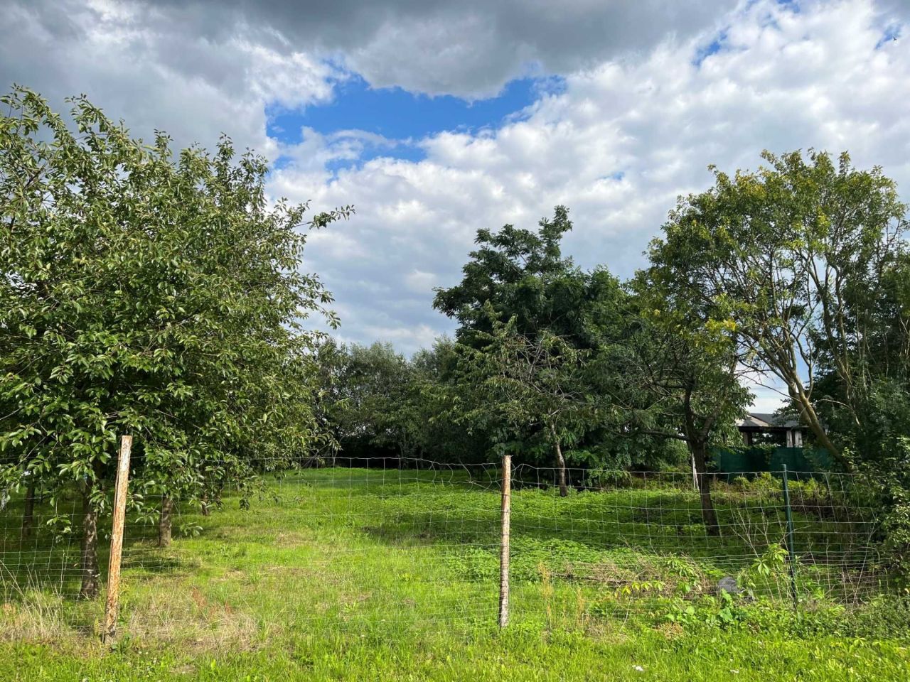 Działka budowlana Dębicz. Zdjęcie 7