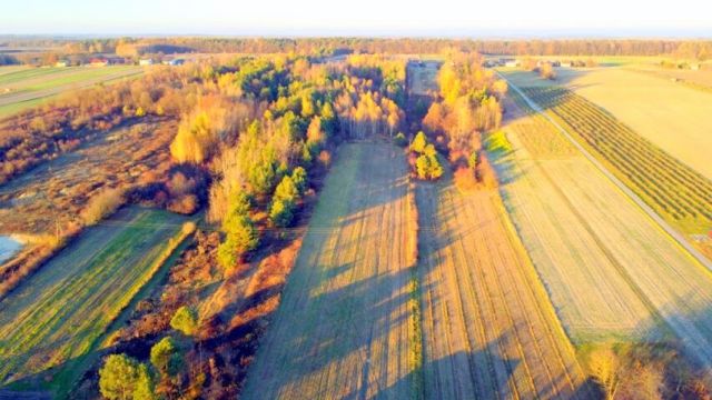 siedlisko Krzywie. Zdjęcie 8