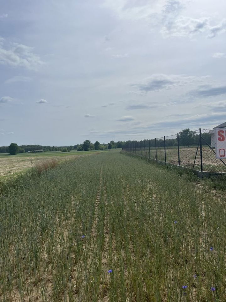 Działka budowlana Mieczysławka. Zdjęcie 2