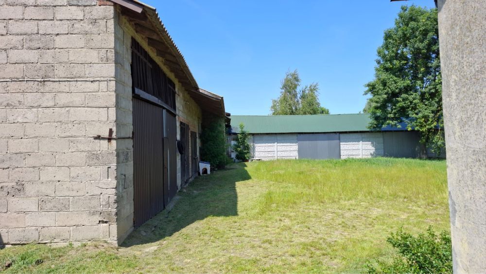 Działka siedliskowa Marianów-Kolonia. Zdjęcie 8