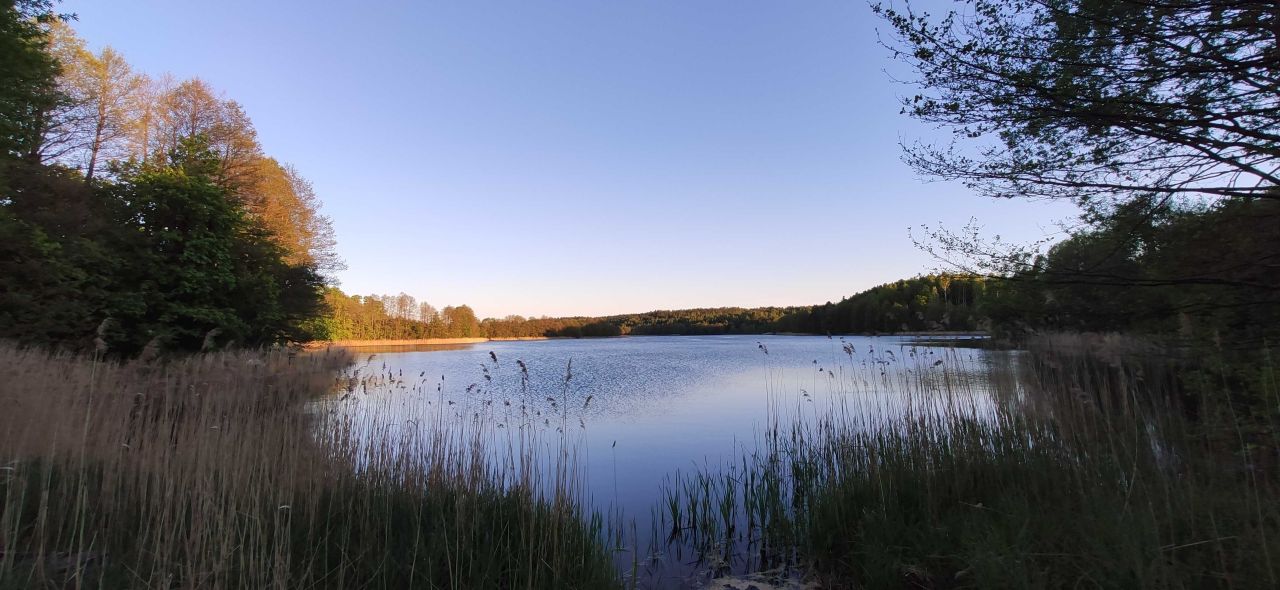Działka budowlana Lewałd Wielki. Zdjęcie 8