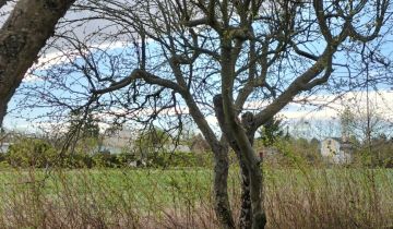 Działka rod Dzierżoniów, ul. Złota